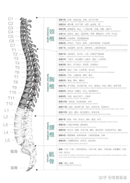 请问正常人第七颈椎那个部位是不是会突起的颈椎病如何应对颈椎病都要瘫痪吗 手动(385724)