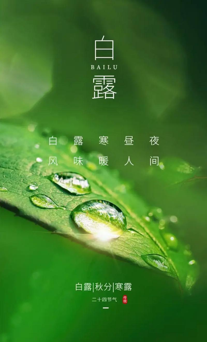 白露节气几时几分白露是最有诗意的节气白露节气雅称 轮胎(324586)