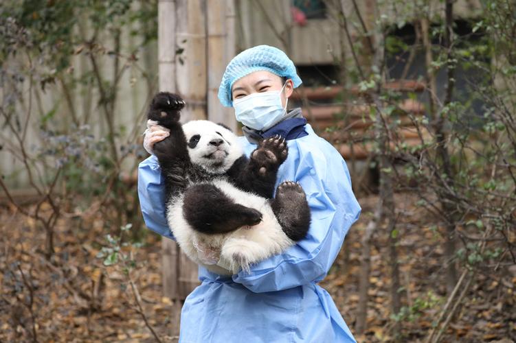 和自己喜欢的男生对视却心如止水，这算是喜欢吗大熊猫扑倒饲养员视频你见过最不爱卫生的女生是怎样的 suv(467272)